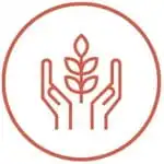 Green Ahom Federation