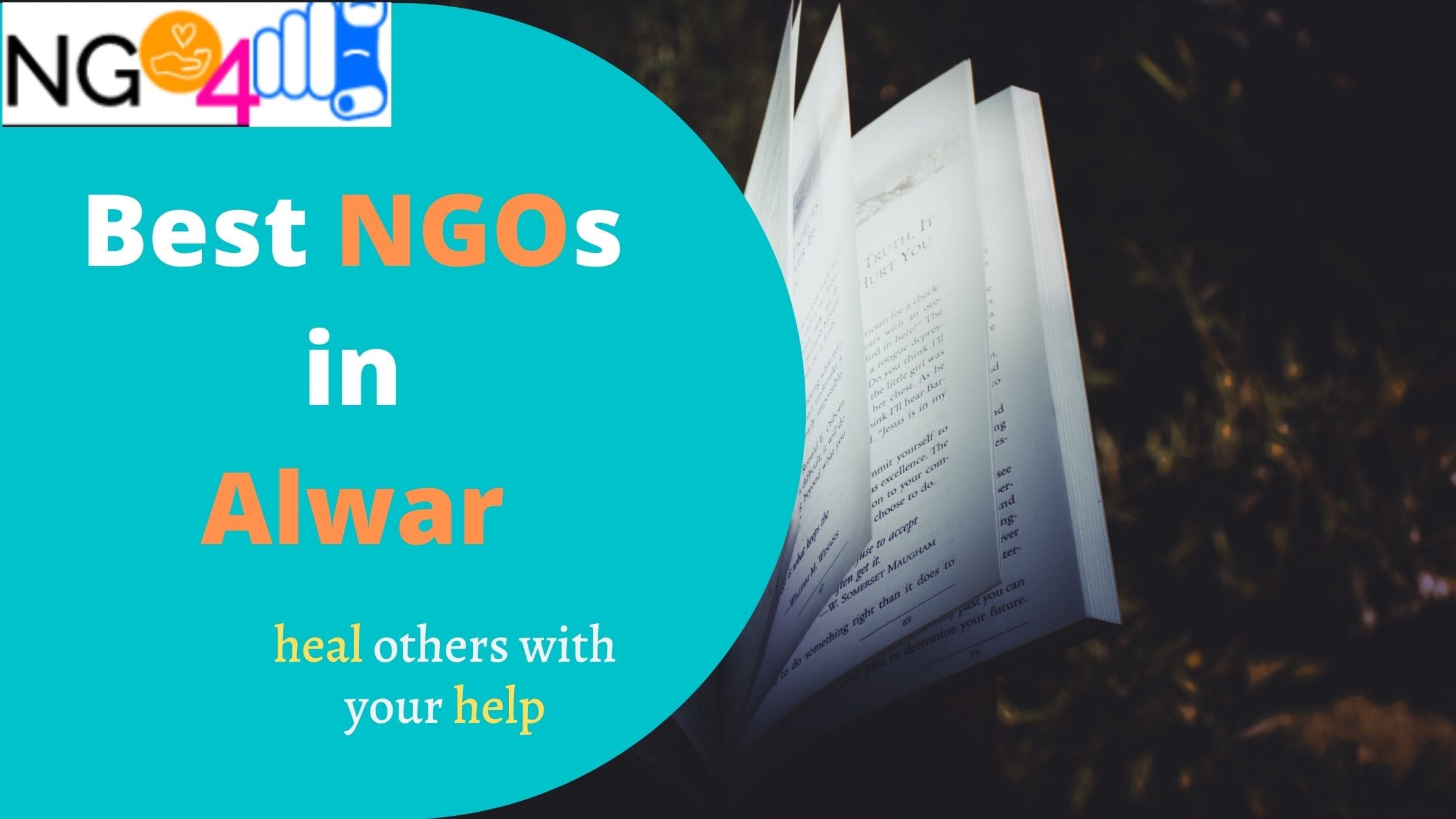 NGOs in Alwar