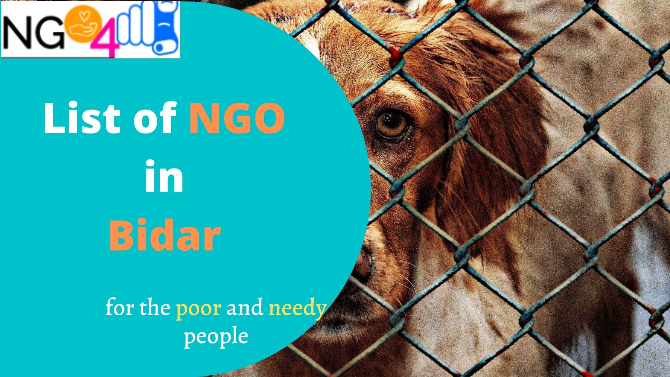 NGO in Bidar