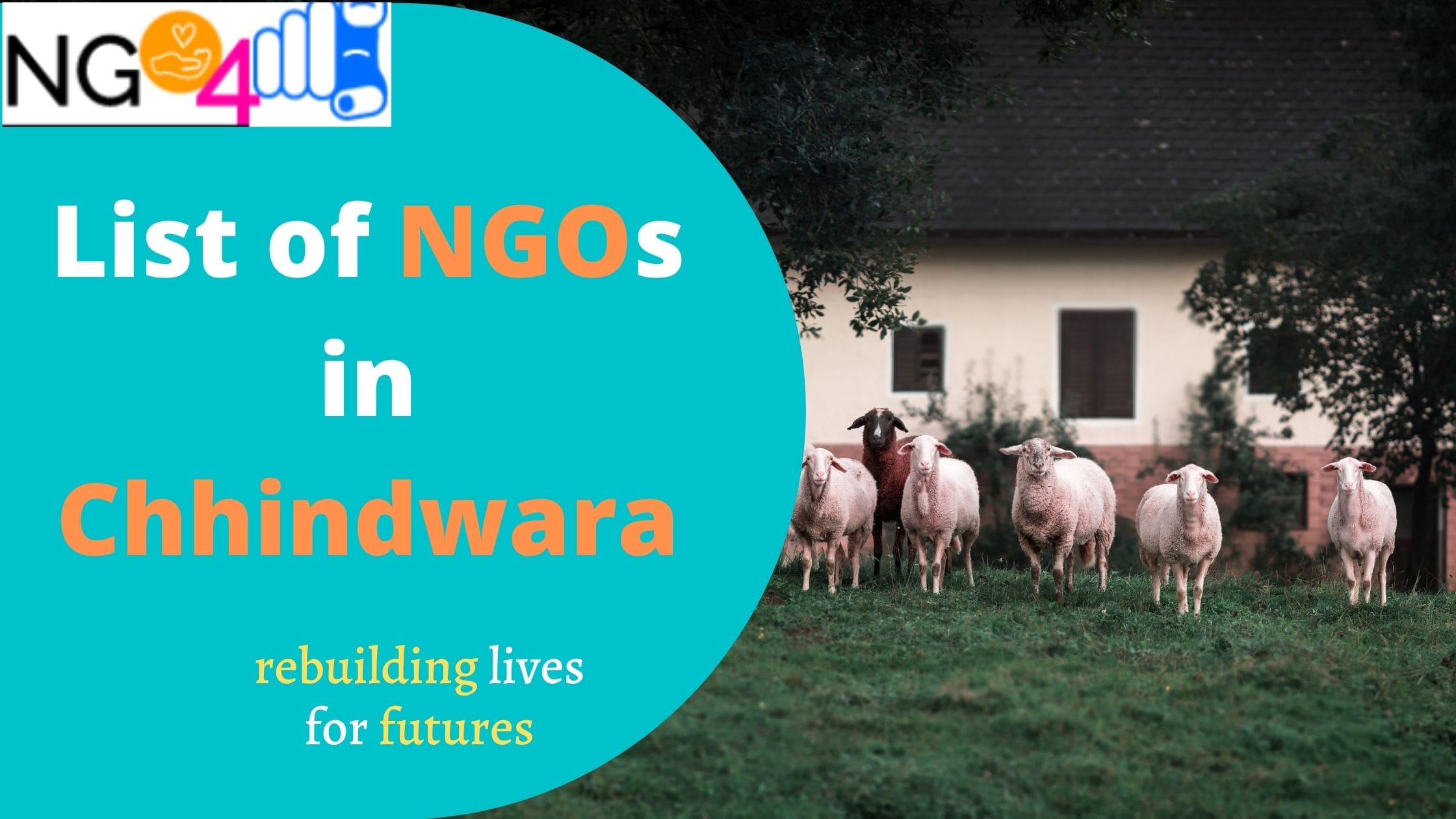 NGO in Chhindwara