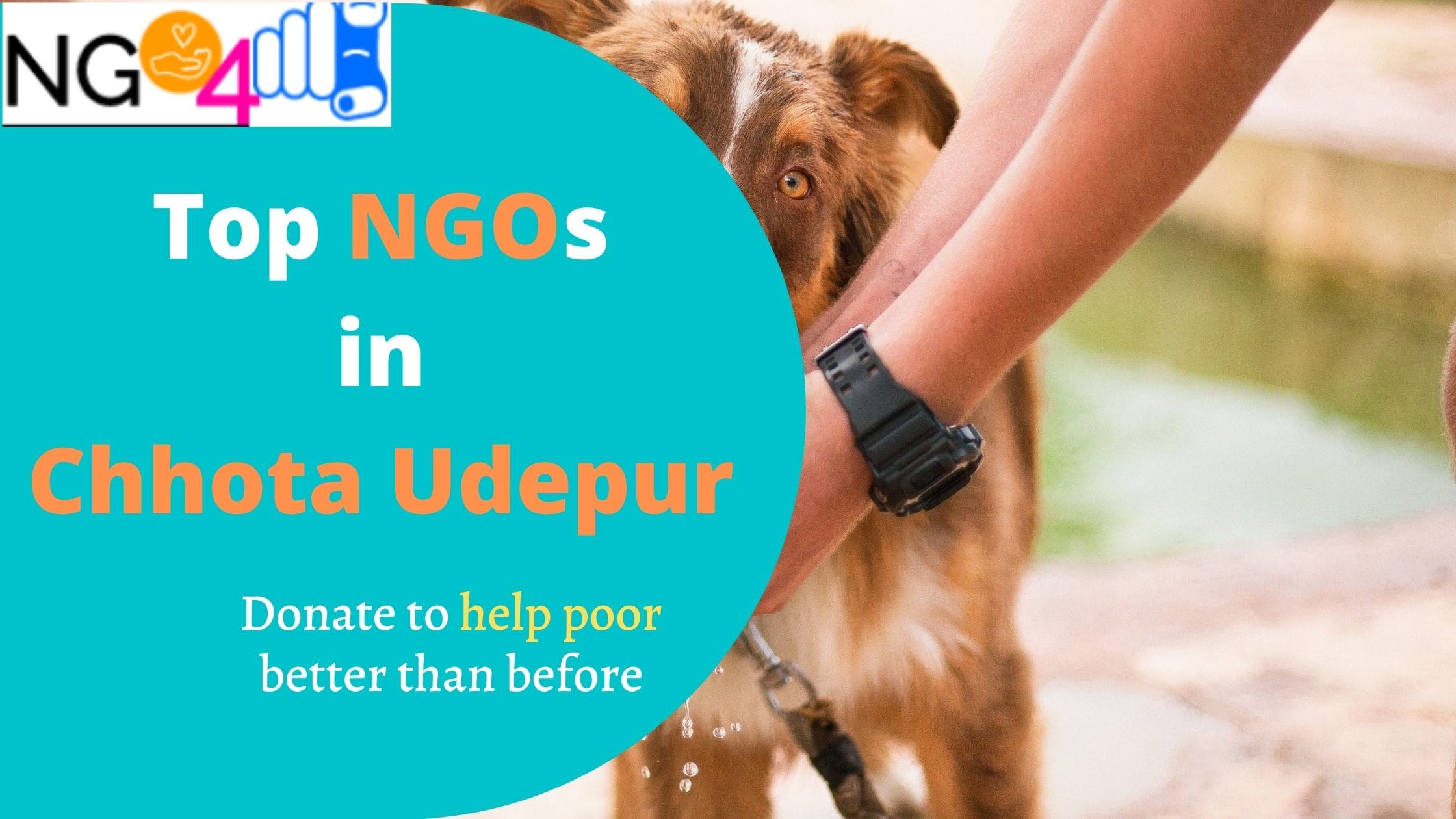 NGOs in Chhota Udepur