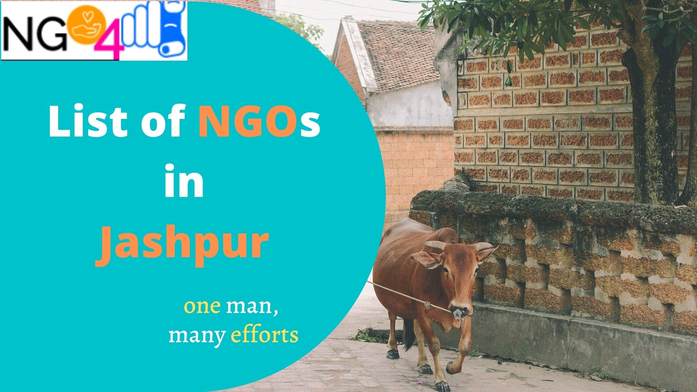 NGOs in Jashpur