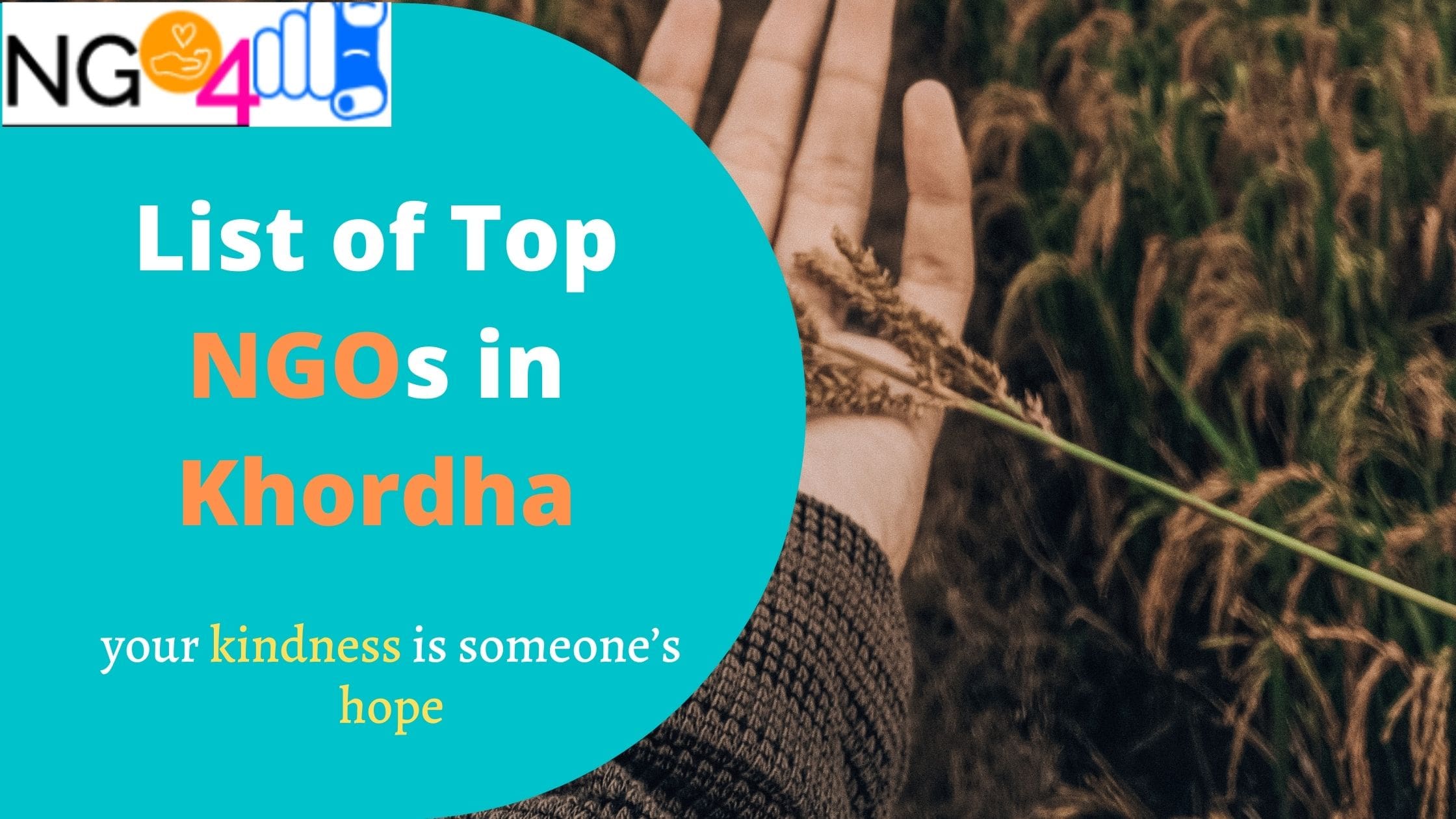 NGOs in Khordha