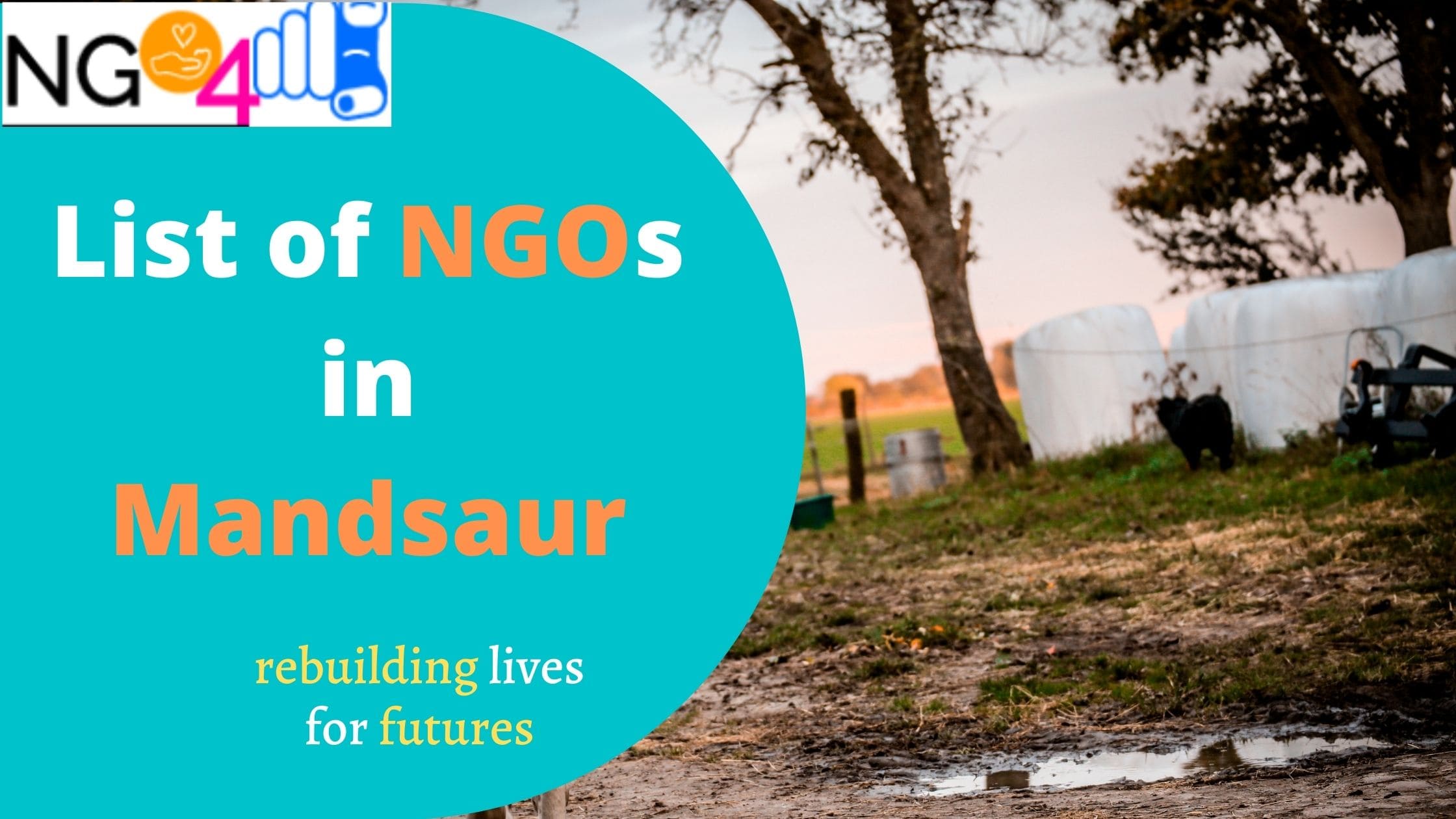 NGO in Mandsaur