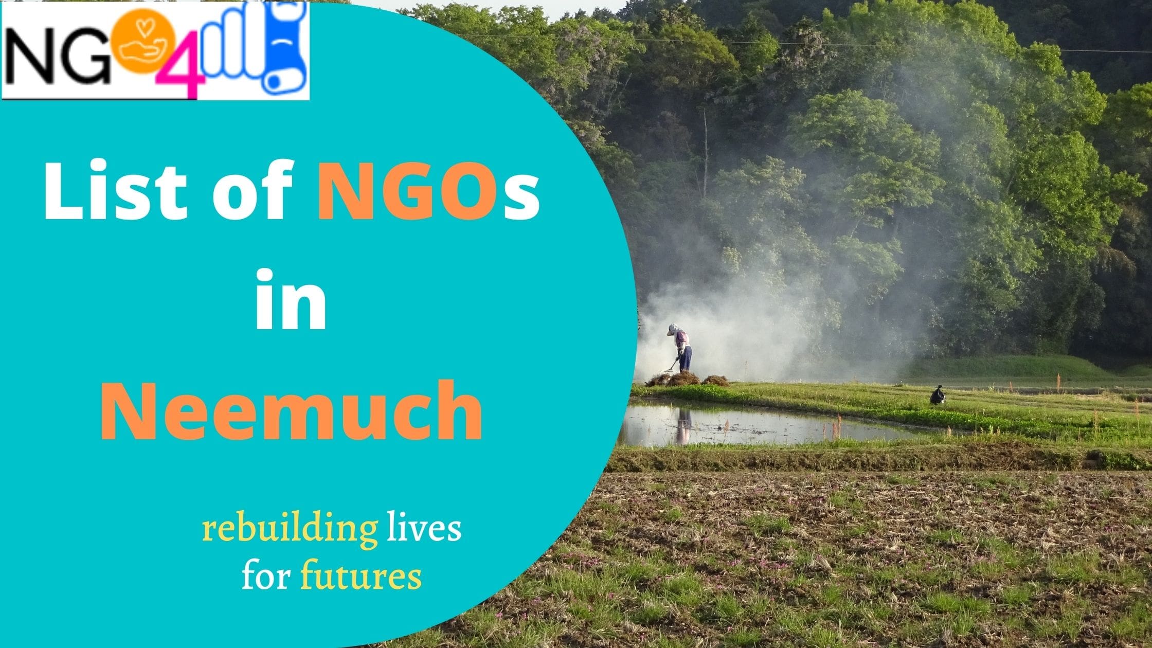NGO in Neemuch