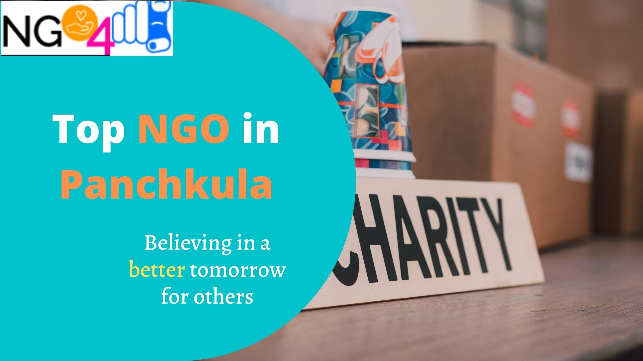 NGO in Panchkula