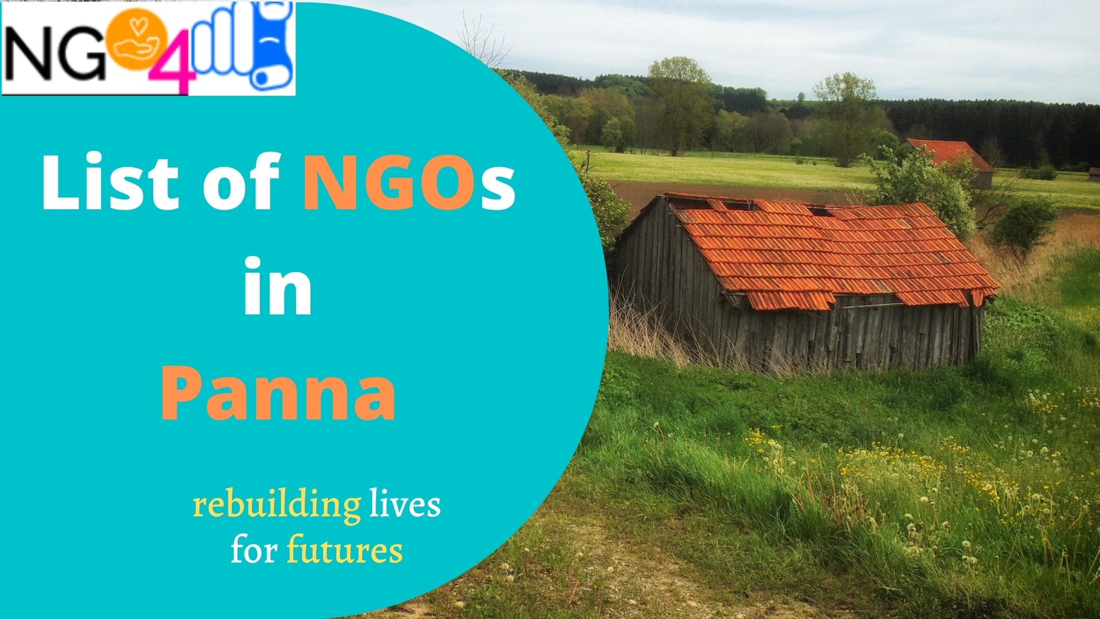 NGO in Panna