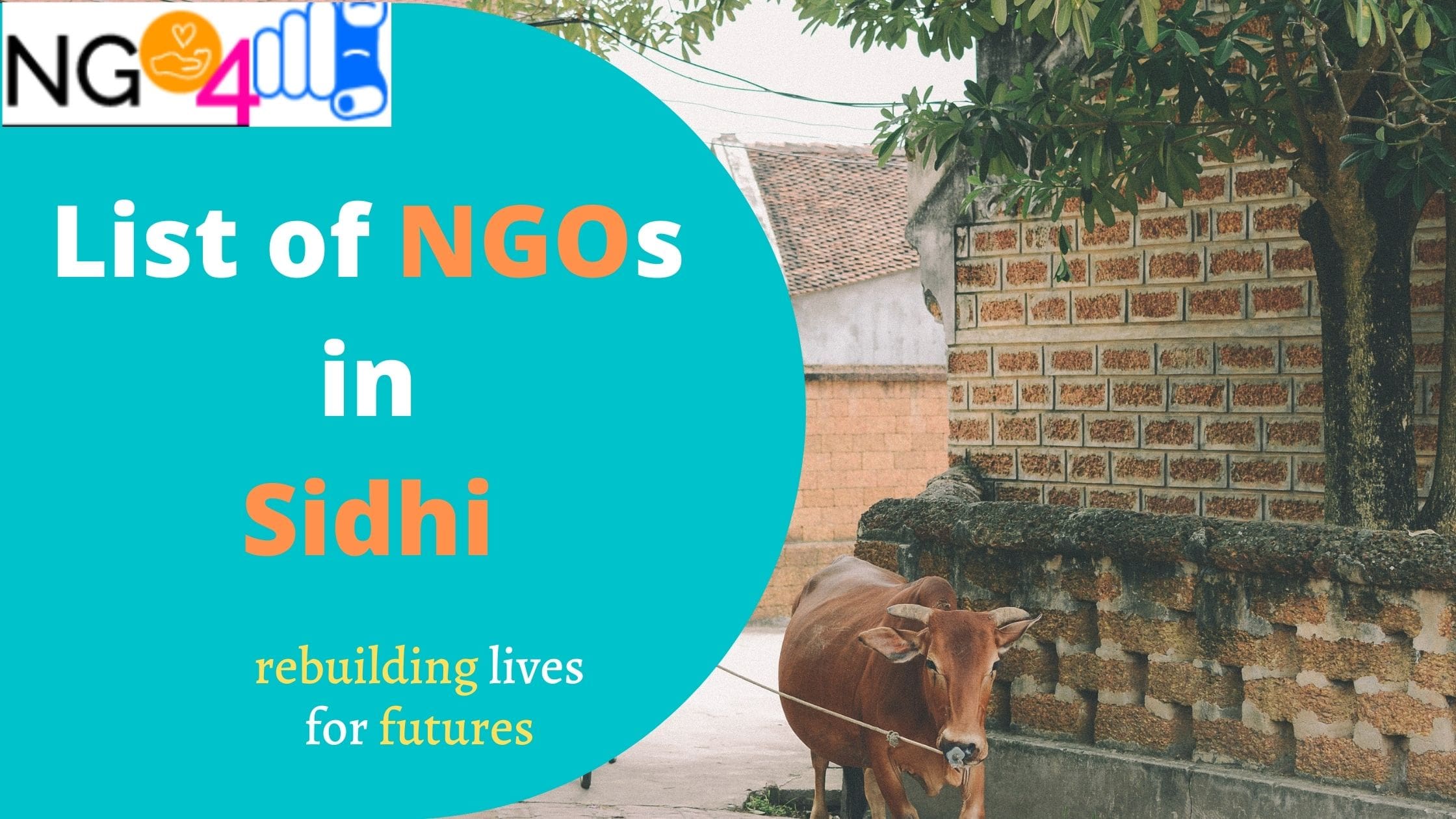 NGO in Sidhi