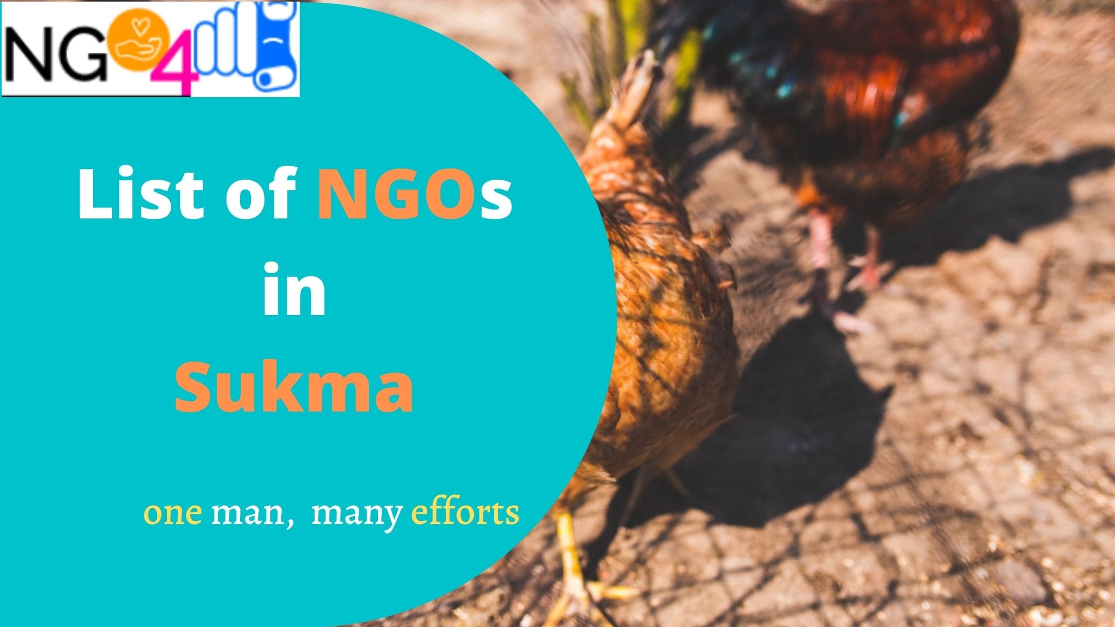 NGO in Sukma