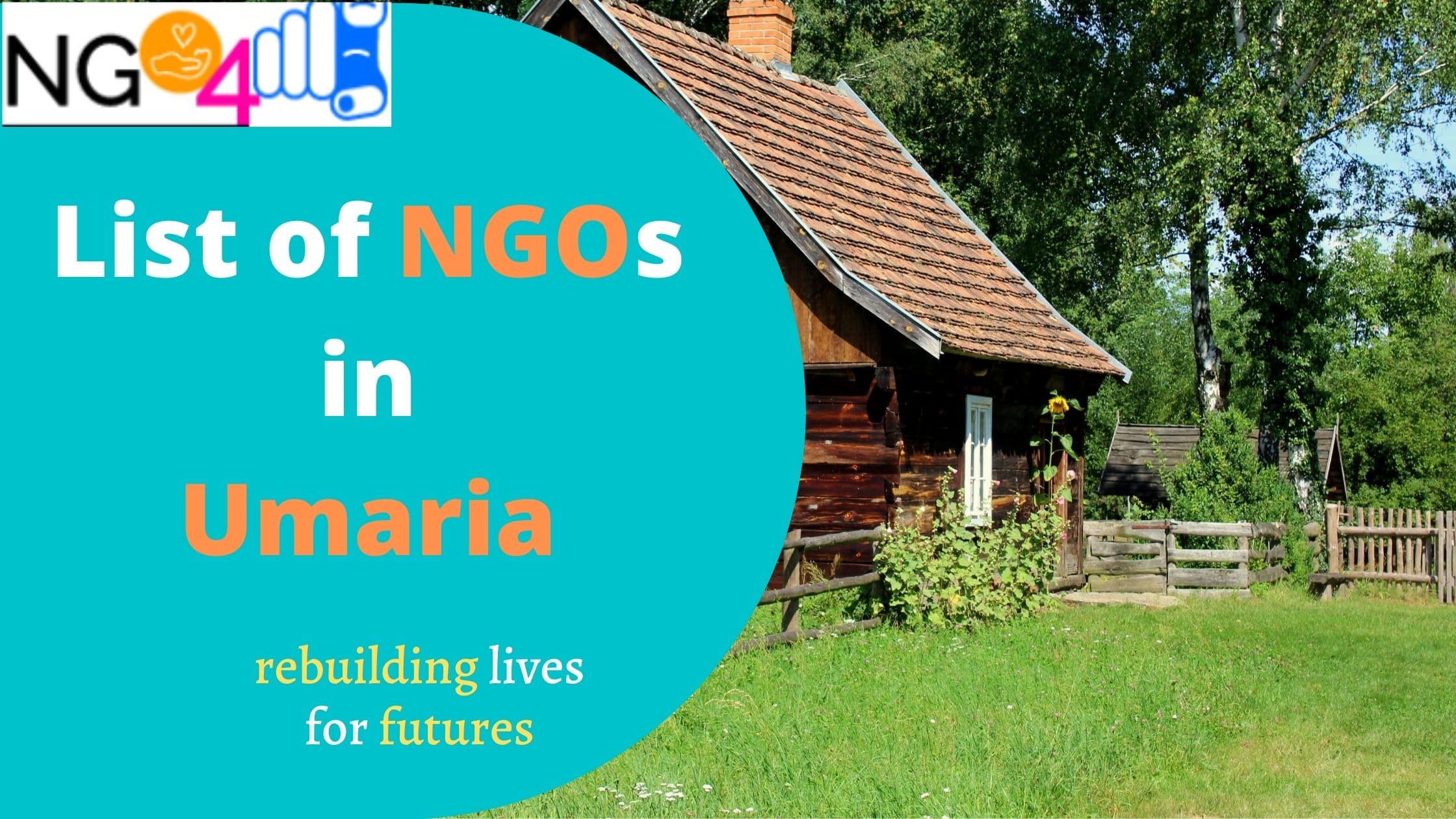 NGO in Umaria