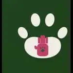 Stray Insight Foundation
