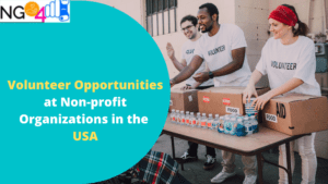 Volunteer Opportunities at Non profit Organizations USA