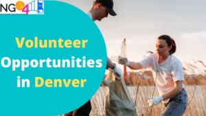 Volunteer Opportunities in Denver