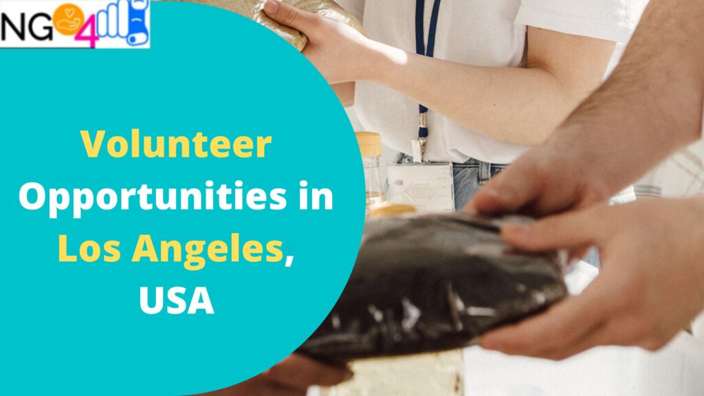 Volunteer Opportunities in Los Angeles