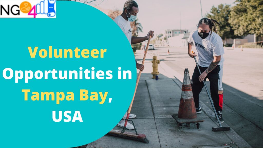 Volunteer Opportunities in Tampa Bay