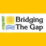 Bridging the Gap Inc