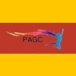 PAGC FOUNDATION
