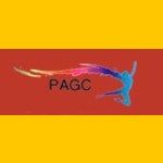 PAGC FOUNDATION