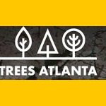 Trees20Atlanta min