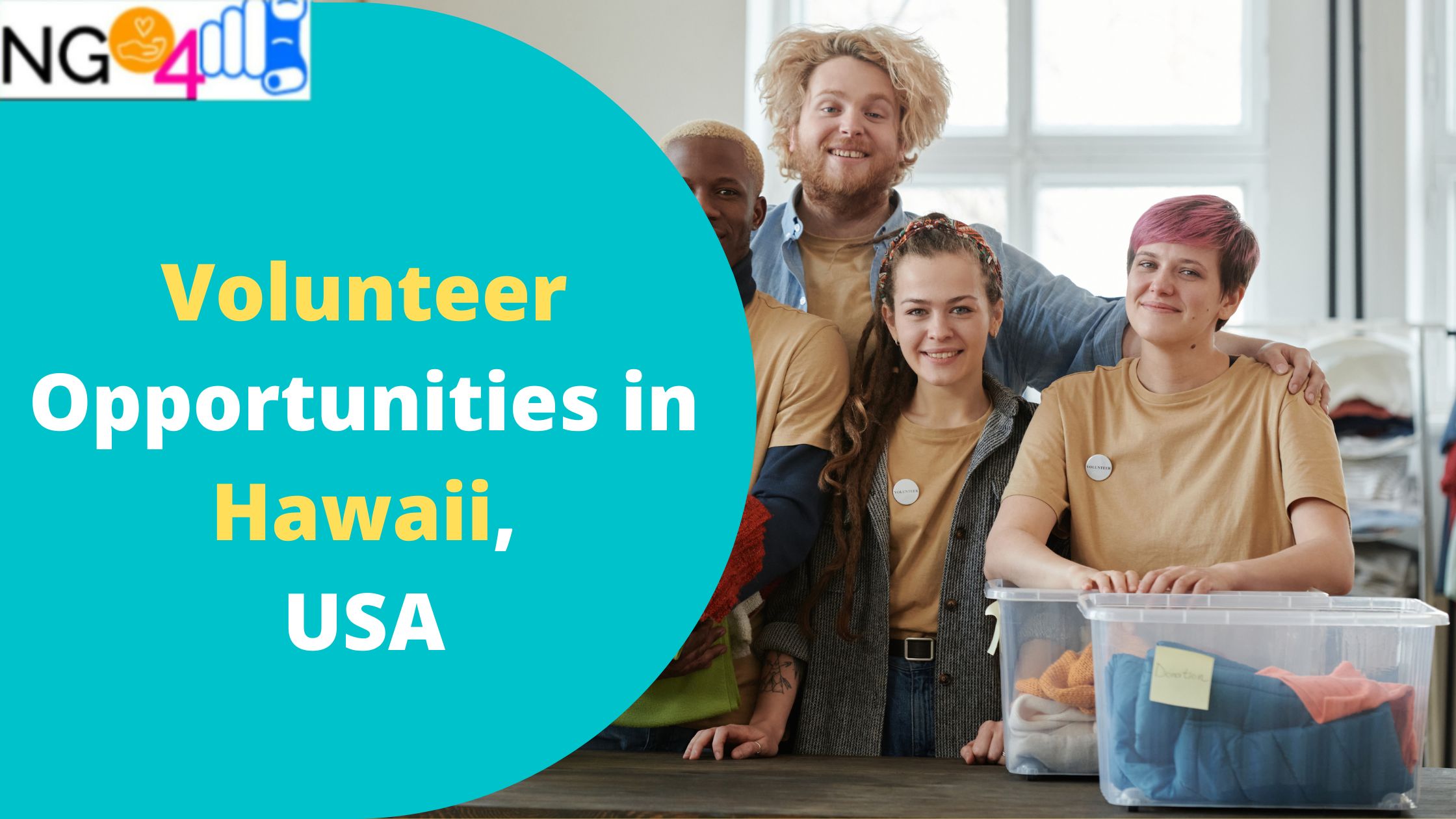 Volunteer Opportunities in Hawaii