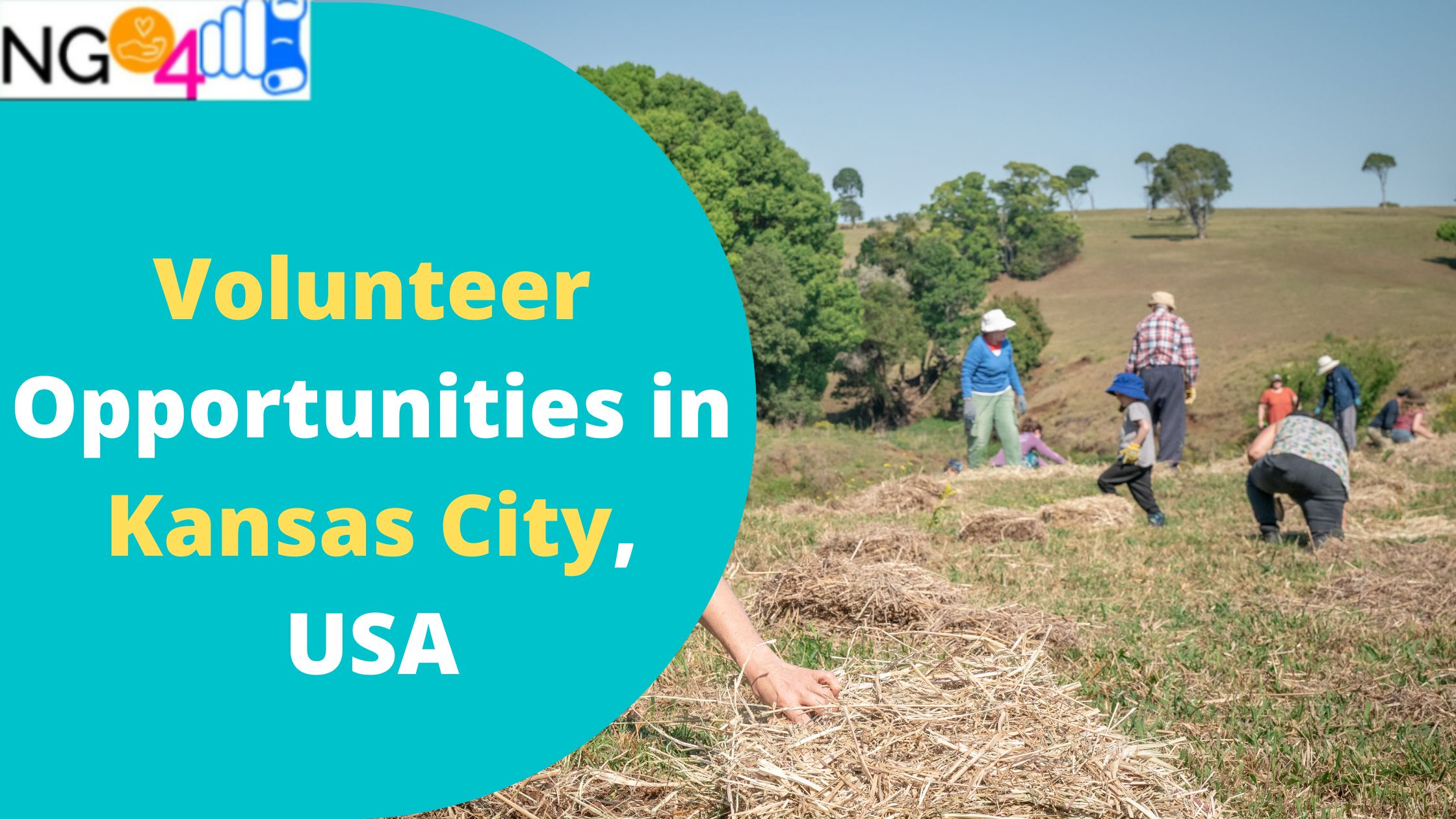 Volunteer Opportunities in Kansas City