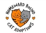 Homeward Bound Cat Adoptions