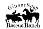 GingerSnap Rescue Ranch