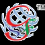Global Skill Development Foundation 