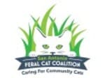 San Antonio Feral Cat Coalition