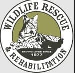 Wildlife Rescue Rehabilitation
