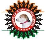 House of Stray Animals