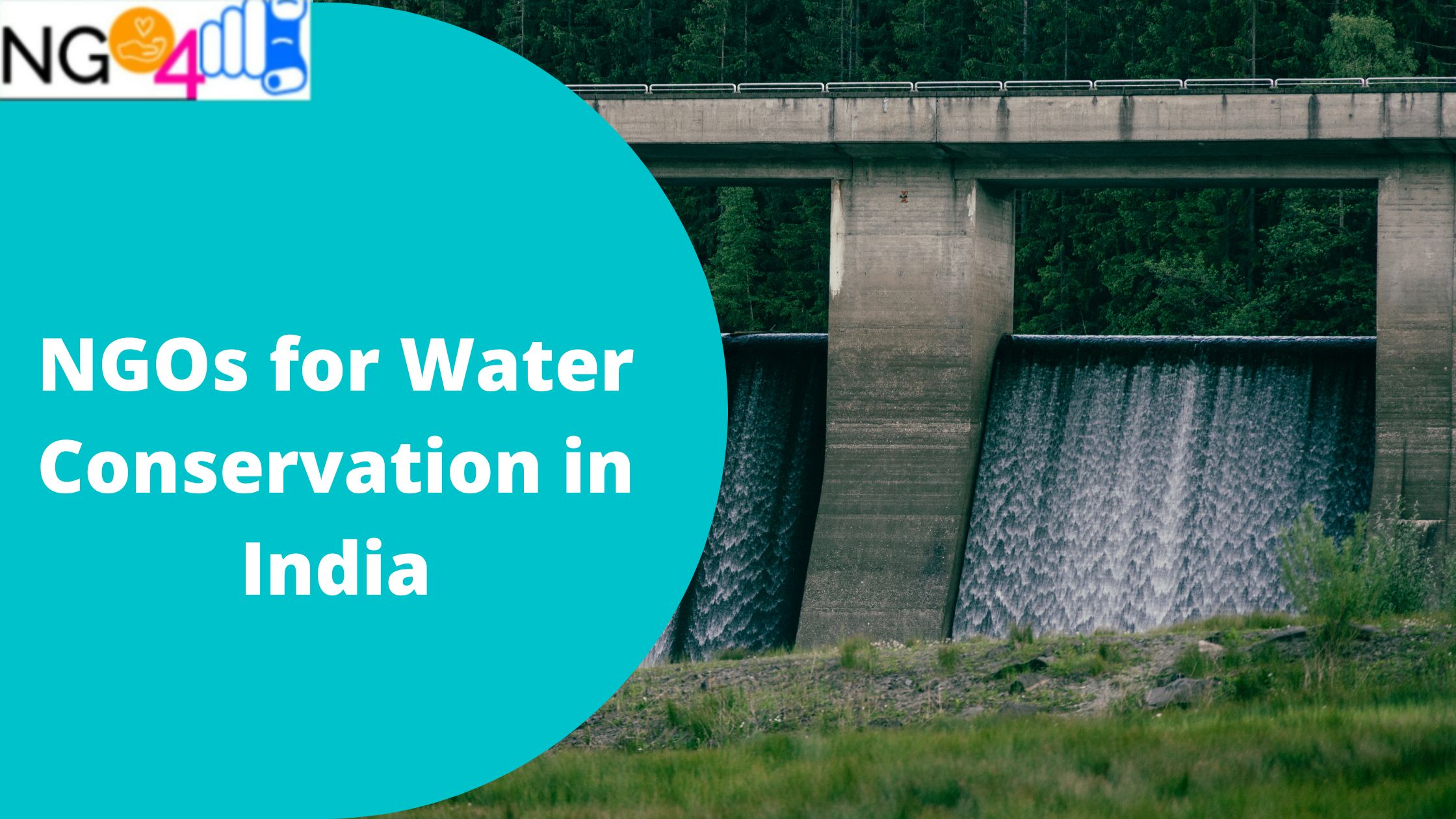 NGOs for Water Conservation in India