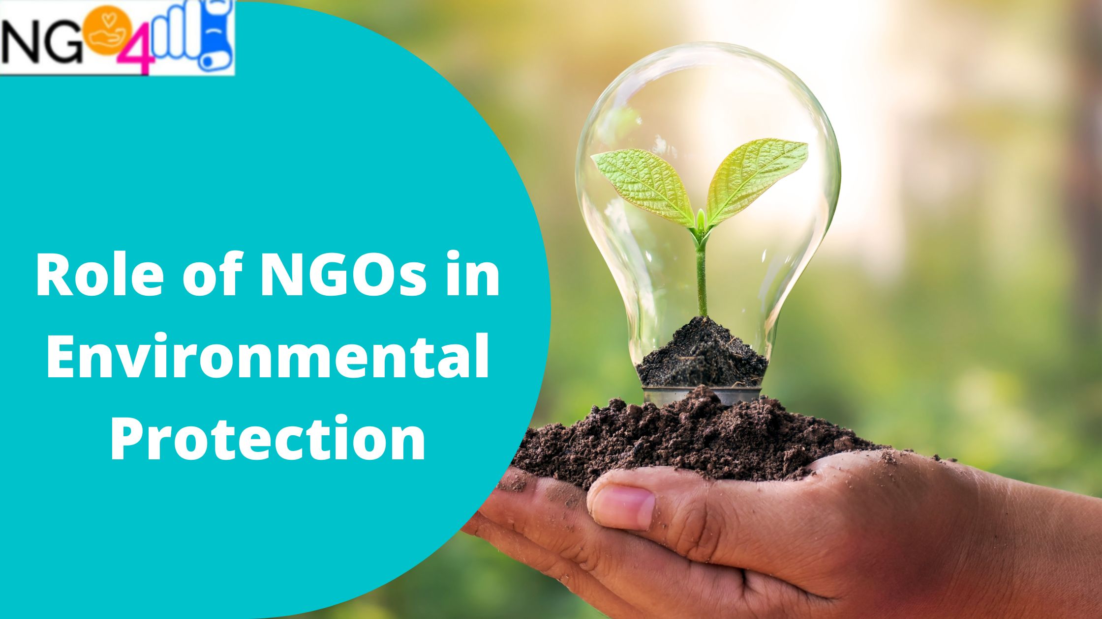 Role of NGO in Environmental Protection