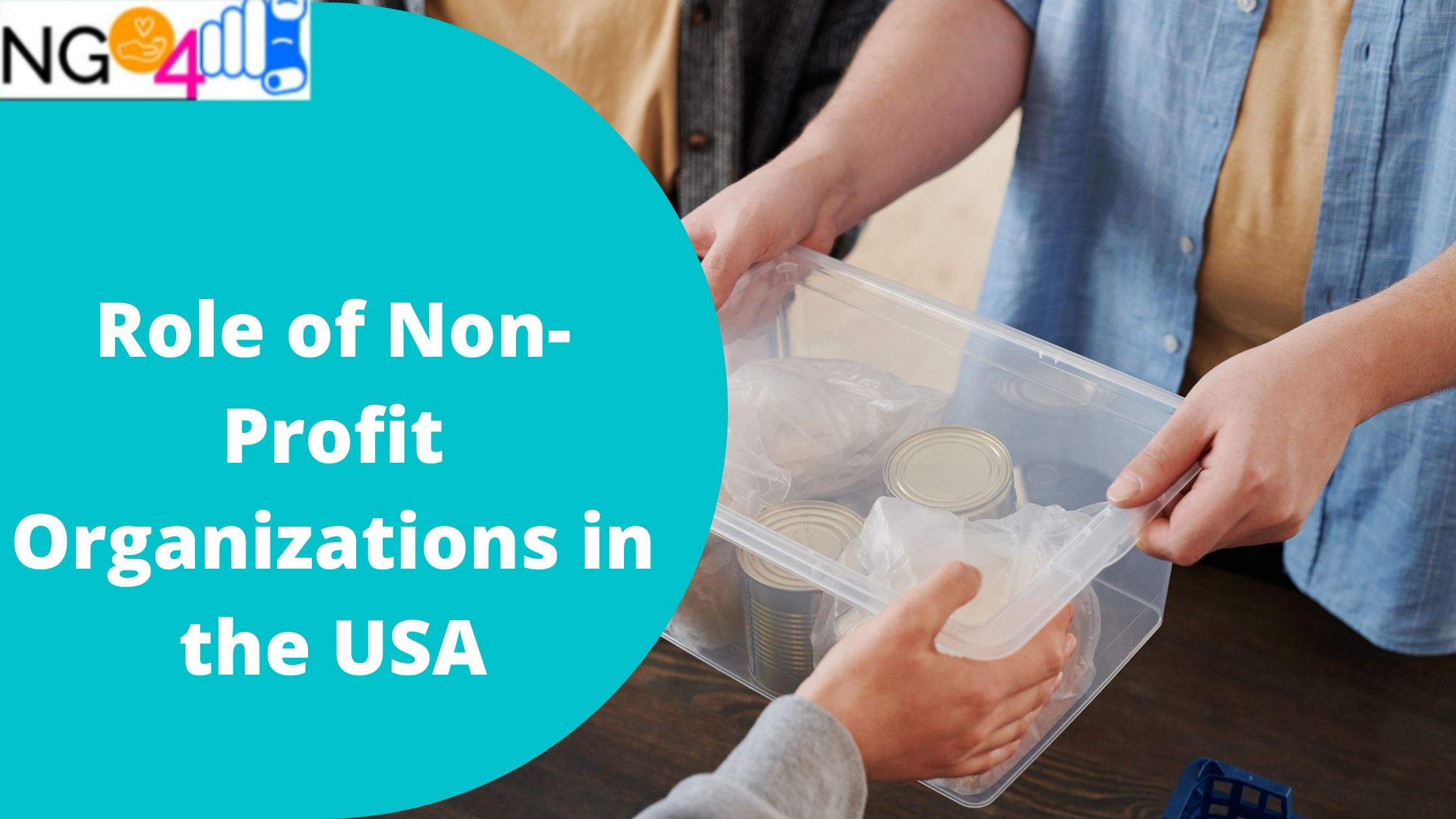 Role of Non Profit Organizations in the USA