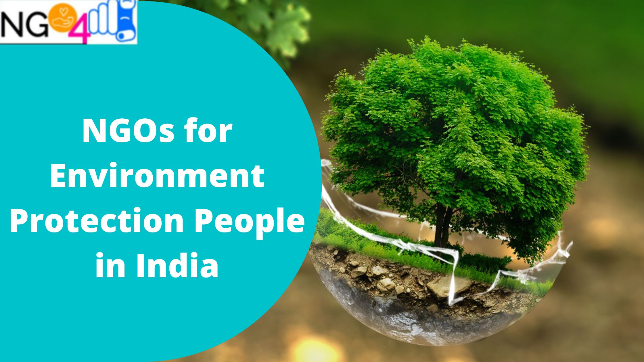 Top NGOs for Environment Protection in India