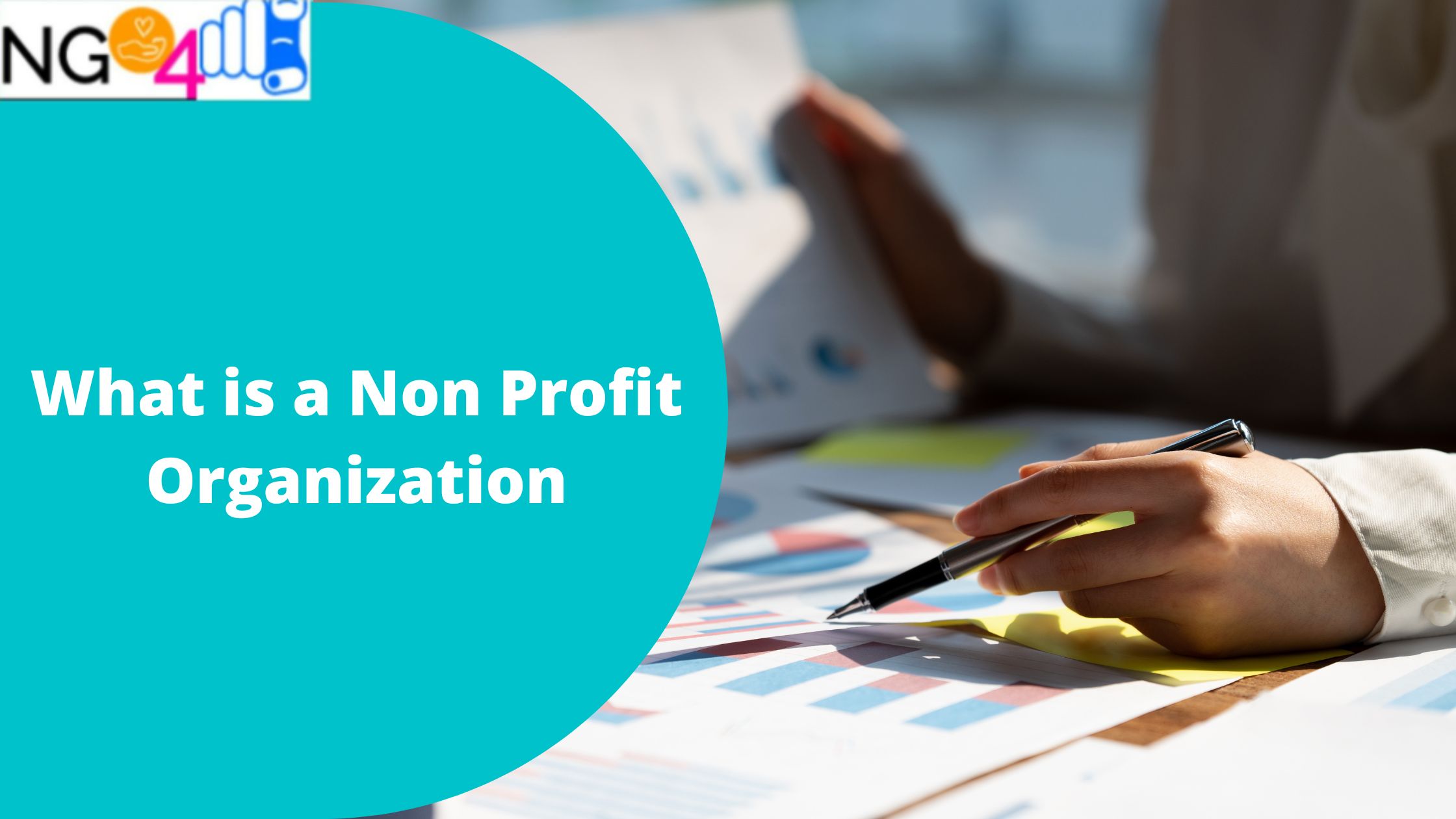 What is a Non Profit Organization