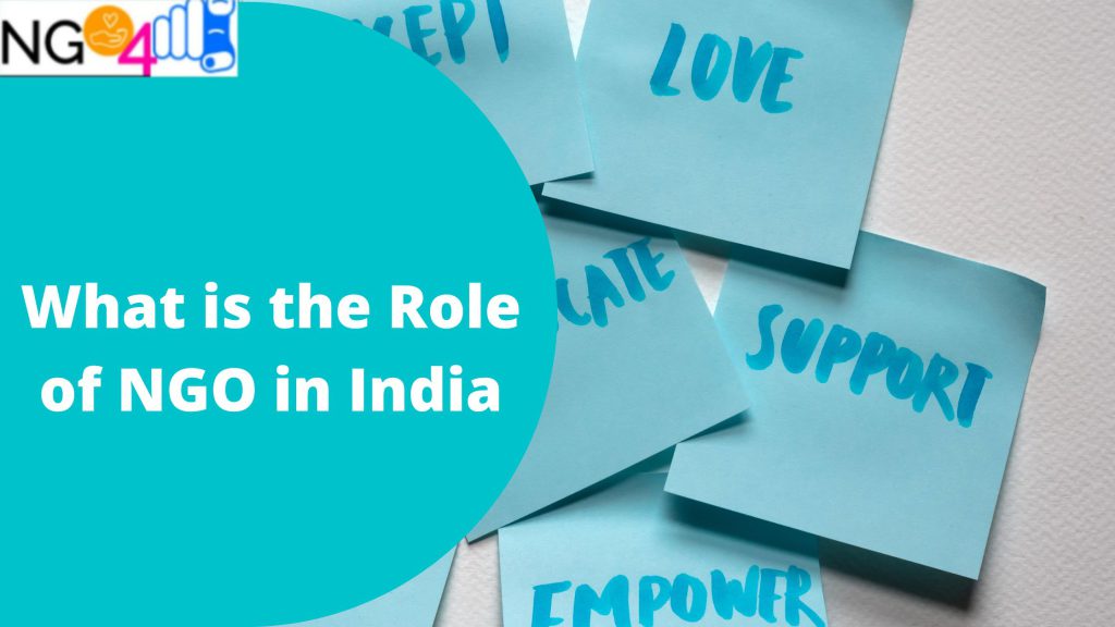 What is the Role of NGO in India