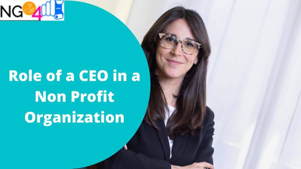 role of a ceo in a non profit organization