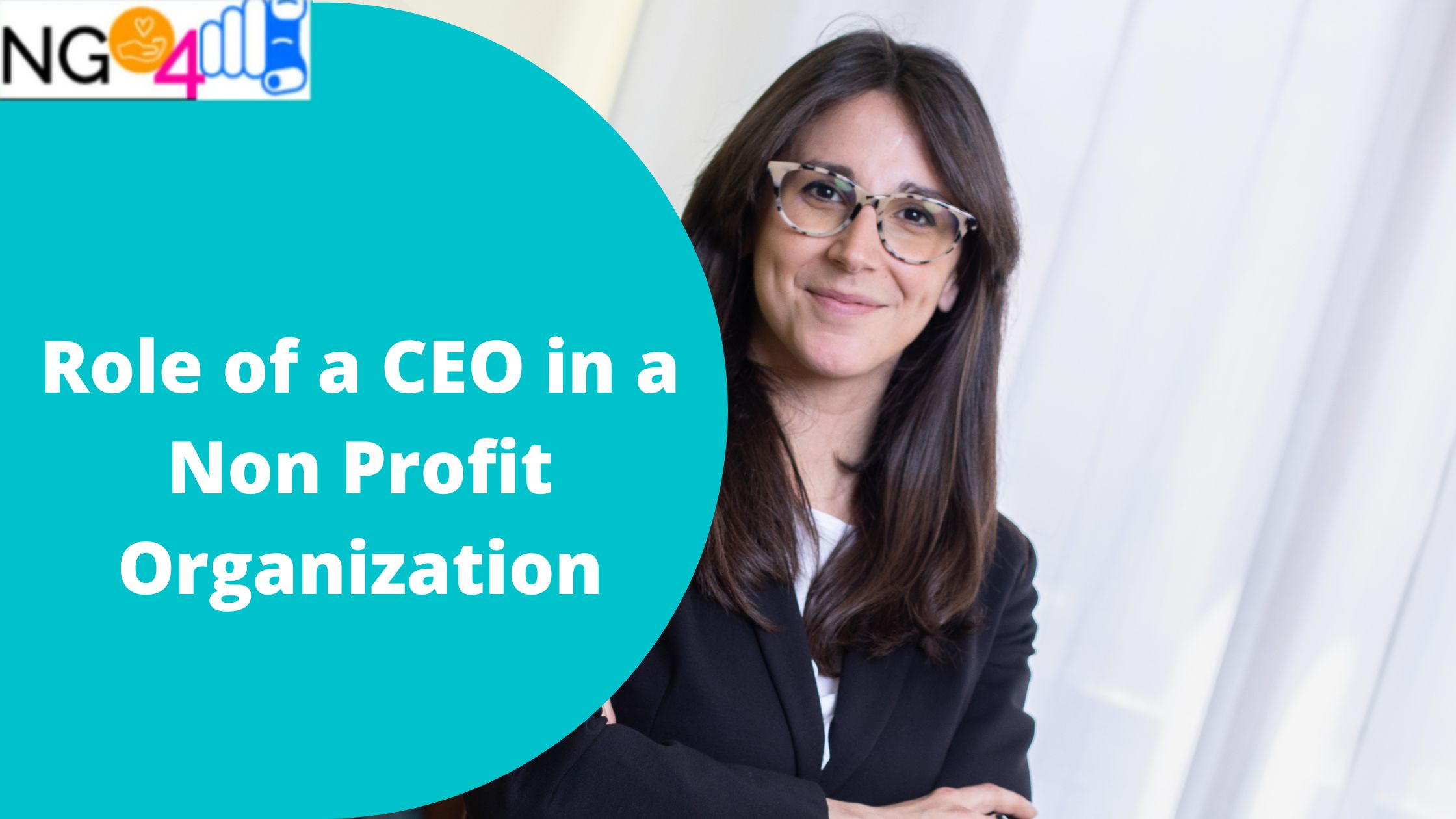 role of a ceo in a non profit organization